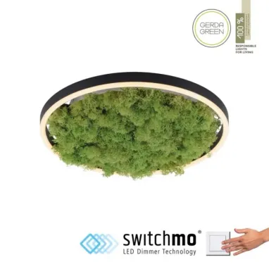 LED plafonska svetiljka sa islandskom mahovinom Green Ritus R400 PAUL NEUHAUS