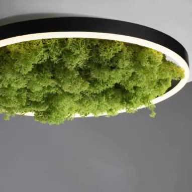 LED plafonska svetiljka sa islandskom mahovinom Green Ritus R400 PAUL NEUHAUS