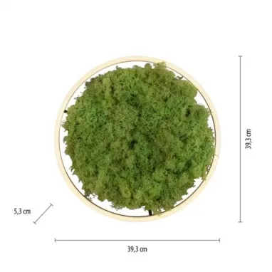LED plafonska svetiljka sa islandskom mahovinom Green Ritus R400 PAUL NEUHAUS