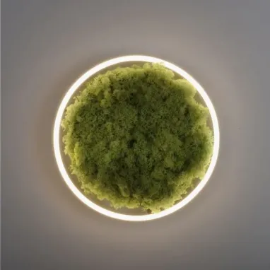 LED plafonska svetiljka sa islandskom mahovinom Green Ritus R400 PAUL NEUHAUS
