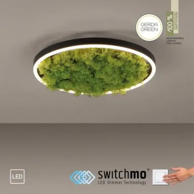 LED plafonska svetiljka sa islandskom mahovinom Green Ritus R400 PAUL NEUHAUS