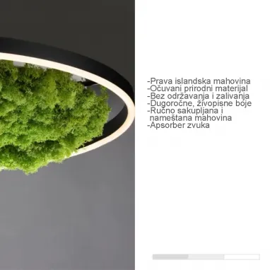 LED plafonska svetiljka sa islandskom mahovinom Green Ritus R400 PAUL NEUHAUS