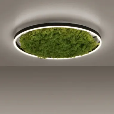 LED plafonska svetiljka sa islandskom mahovinom Green Ritus R600 PAUL NEUHAUS