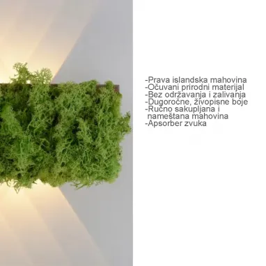 LED zidna svetiljka sa islandskom mahovinom Green Carlo PAUL NEUHAUS
