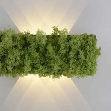 LED zidna svetiljka sa islandskom mahovinom Green Carlo PAUL NEUHAUS