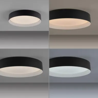 LED plafonjera sa daljinskim upravljačem Tavoli 20W CCT dimabilna PAUL NEUHAUS