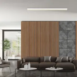 LED plafonska svetiljka Pure Lines bela dimabilna PAUL NEUHAUS