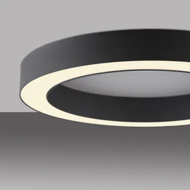 LED plafonska svetiljka Pure Lines okrugla crna dimabilna PAUL NEUHAUS