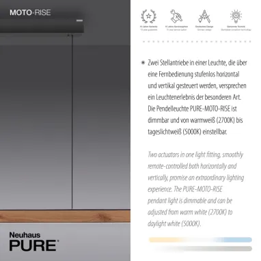 LED visilica PURE Moto-Rise hrast dimabilna PAUL NEUHAUS
