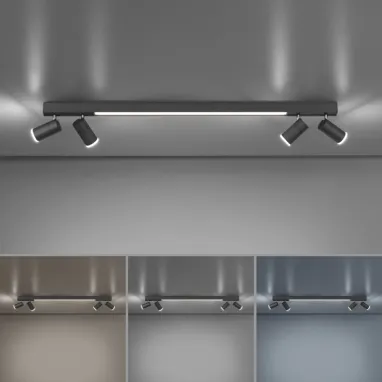 LED plafonska svetiljka PURE Lines spot grafit dimabilna CCT PAUL NEUHAUS