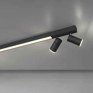 LED plafonska svetiljka PURE Lines spot grafit dimabilna CCT PAUL NEUHAUS