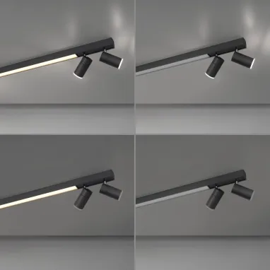 LED plafonska svetiljka PURE Lines spot grafit dimabilna CCT PAUL NEUHAUS