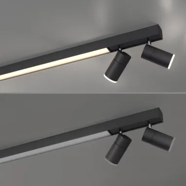 LED plafonska svetiljka PURE Lines spot grafit dimabilna CCT PAUL NEUHAUS