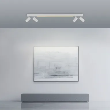 LED plafonska svetiljka PURE Lines spot bela dimabilna CCT PAUL NEUHAUS