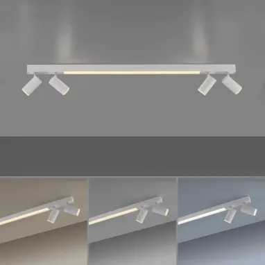 LED plafonska svetiljka PURE Lines spot bela dimabilna CCT PAUL NEUHAUS