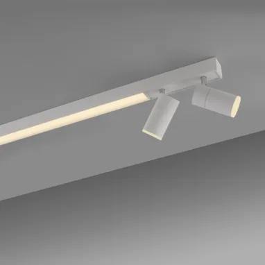 LED plafonska svetiljka PURE Lines spot bela dimabilna CCT PAUL NEUHAUS