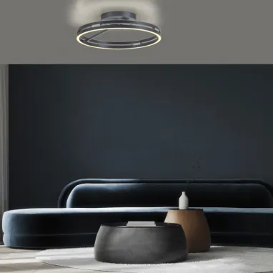 LED plafonska svetiljka PURE Loop siva CCT dimabilna PAUL NEUHAUS