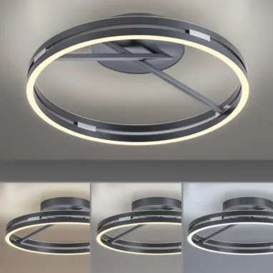 LED plafonska svetiljka PURE Loop siva CCT dimabilna PAUL NEUHAUS