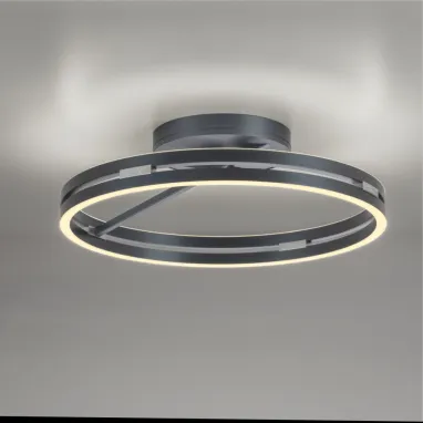 LED plafonska svetiljka PURE Loop siva CCT dimabilna PAUL NEUHAUS