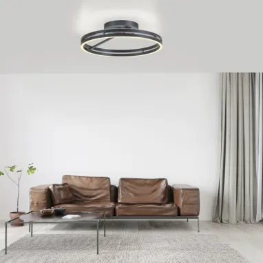 LED plafonska svetiljka PURE Loop siva CCT dimabilna PAUL NEUHAUS