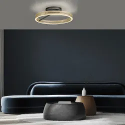LED plafonska svetiljka PURE Loop bronzana CCT dimabilna PAUL NEUHAUS