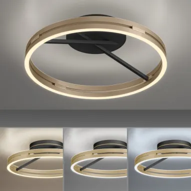 LED plafonska svetiljka PURE Loop bronzana CCT dimabilna PAUL NEUHAUS