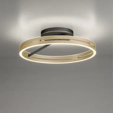 LED plafonska svetiljka PURE Loop bronzana CCT dimabilna PAUL NEUHAUS