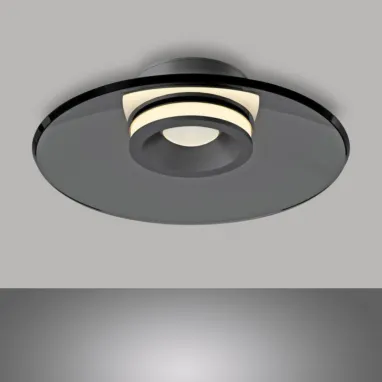 LED plafonska lampa Pure Moon siva dimabilna PAUL NEUHAUS