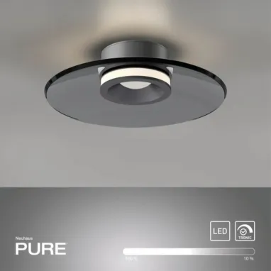 LED plafonska lampa Pure Moon siva dimabilna PAUL NEUHAUS