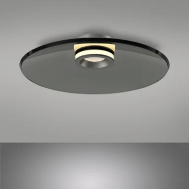 LED plafonska svetiljka Pure Moon siva dimabilna PAUL NEUHAUS