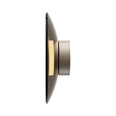 LED zidna lampa Pure Moon bronzana dimabilna PAUL NEUHAUS