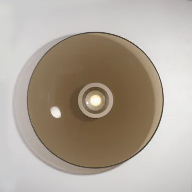 LED plafonska svetiljka Pure Moon bronzana dimabilna PAUL NEUHAUS
