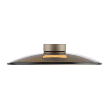 LED plafonska svetiljka Pure Moon bronzana dimabilna PAUL NEUHAUS
