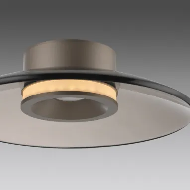 LED plafonska svetiljka Pure Moon bronzana dimabilna PAUL NEUHAUS