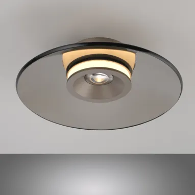 LED plafonska svetiljka Pure Moon bronzana dimabilna PAUL NEUHAUS