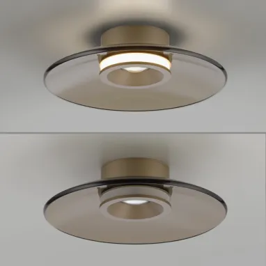 LED plafonska svetiljka Pure Moon bronzana dimabilna PAUL NEUHAUS
