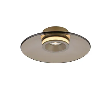 LED plafonska svetiljka Pure Moon bronzana dimabilna PAUL NEUHAUS