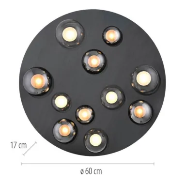 LED plafonska svetiljka PURE Popup siva CCT dimabilna PAUL NEUHAUS