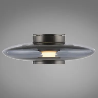 LED plafonska svetiljka PURE Vitrum siva dimabilna PAUL NEUHAUS