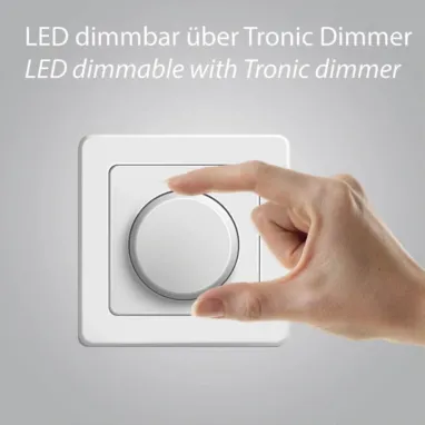 LED zidna svetiljka PURE Moon siva sa EasyDim funkcijom PAUL NEUHAUS
