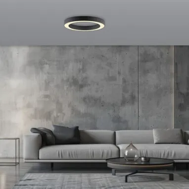 LED plafonska svetiljka PURE lines round CCT crna PAUL NEUHAUS