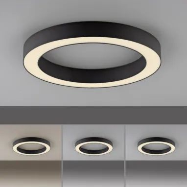 LED plafonska svetiljka PURE lines round CCT crna PAUL NEUHAUS