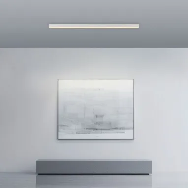 LED plafonska svetiljka PURE Lines Straight bela PAUL NEUHAUS