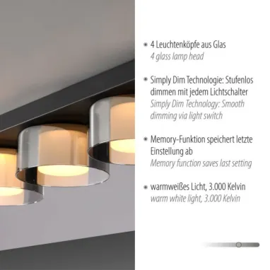LED plafonska svetiljka Rika PAUL NEUHAUS