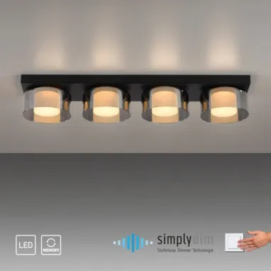 LED plafonska svetiljka Rika PAUL NEUHAUS