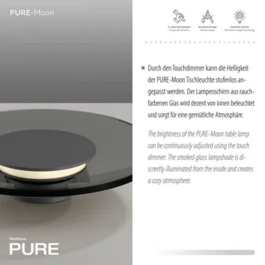 LED stona lampa PURE Moon PAUL NEUHAUS
