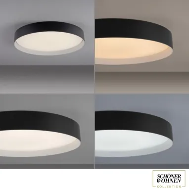 LED plafonjera sa daljinskim upravljačem Tavoli 12W CCT crna dimabilna PAUL NEUHAUS