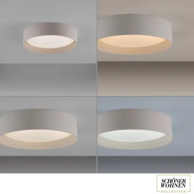 LED plafonjera sa daljinskim upravljačem Tavoli 12W CCT bež dimabilna PAUL NEUHAUS