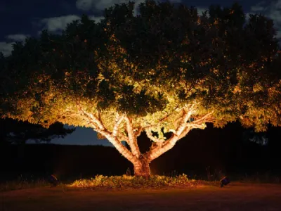 Koja rasveta je najpogodnija za osvetljenje drveća i visokog rastinja?