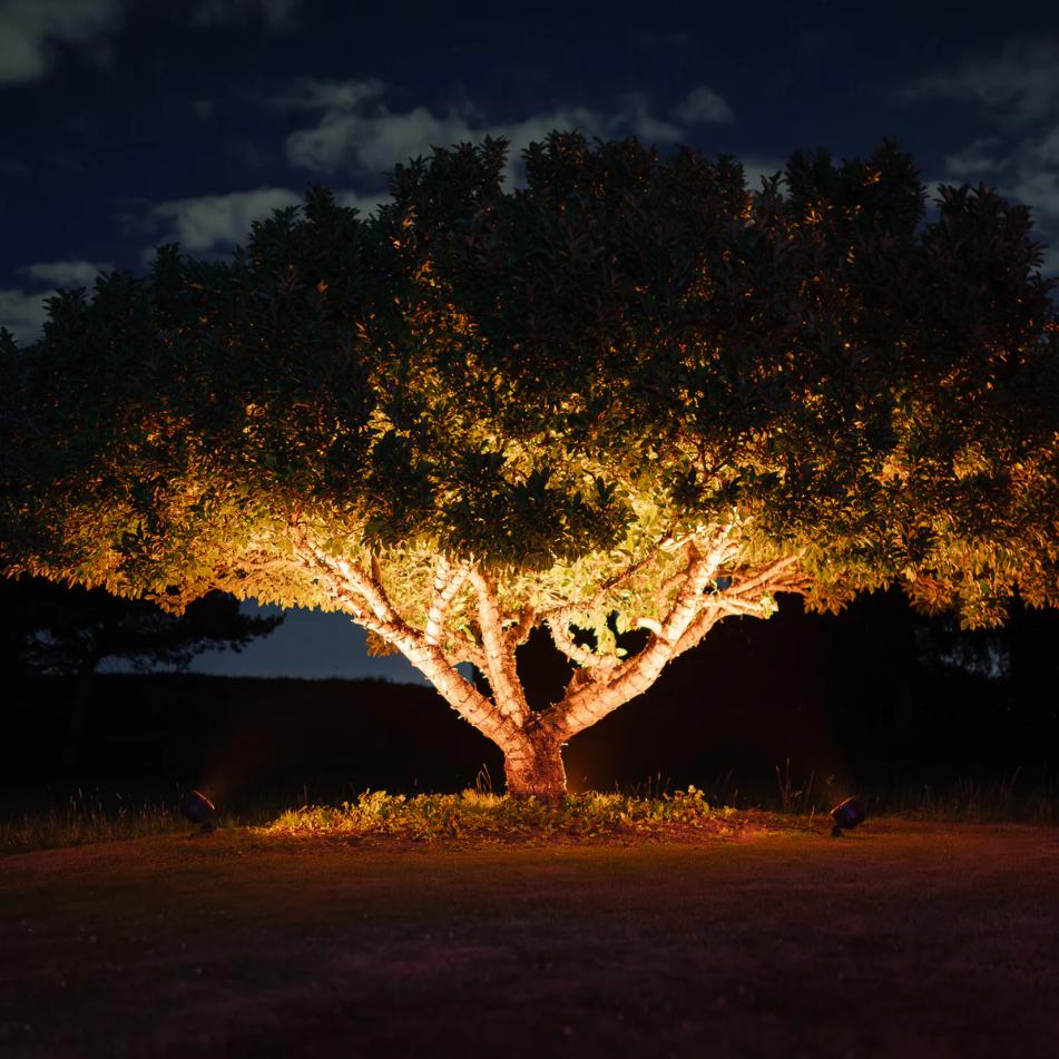 Koja rasveta je najpogodnija za osvetljenje drveća i visokog rastinja?